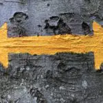 Should I set up as a sole trader or limited company? 3 A yellow arrow painted on a tree trunk in a picturesque forest setting.