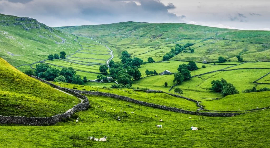cry stone walls, yorkshire, dales