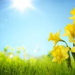 March 2025 Newsletter 13 AdobeStock 79420675